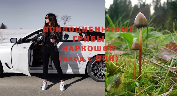 дживик Тавда
