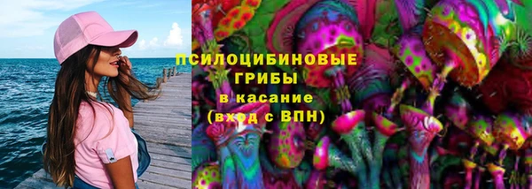 дживик Тавда