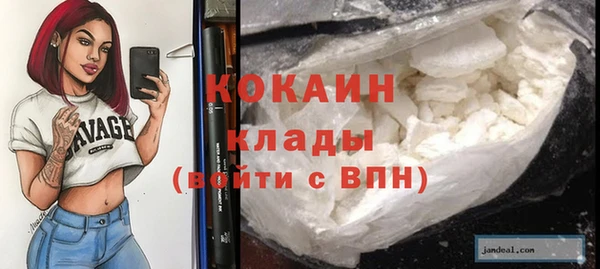 дживик Тавда