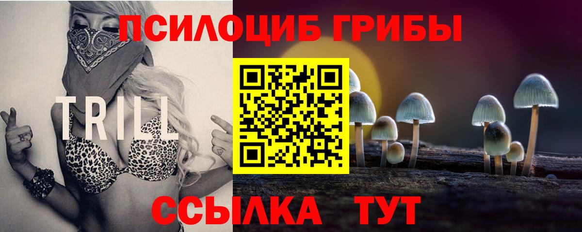 Галлюциногенные грибы прущие грибы  Вход с VPN  наркотики  Белово 